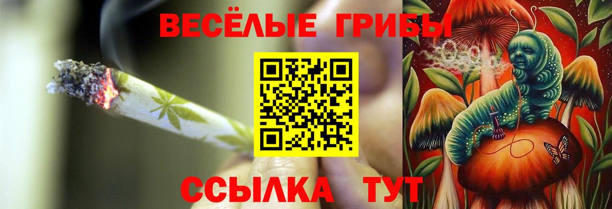 Галлюциногенные грибы MAGIC MUSHROOMS Когалым