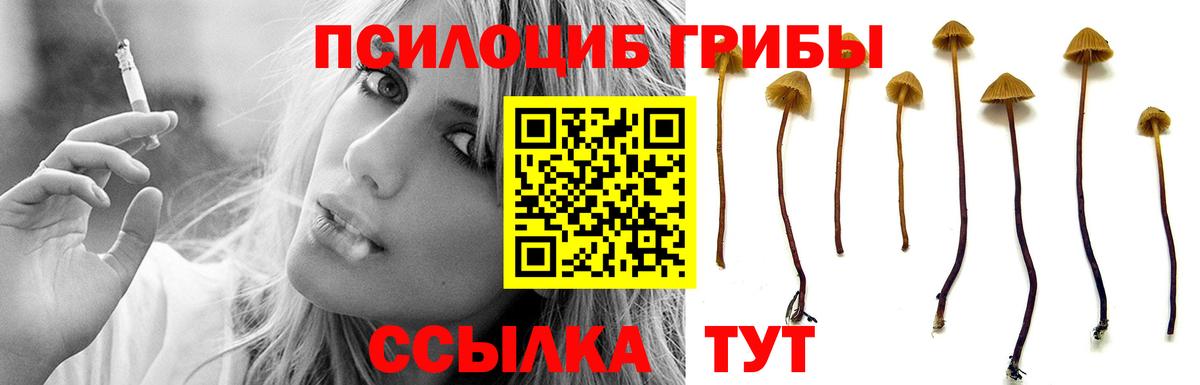 Когалым  Галлюциногенные грибы ЛСД  Вход с VPN  Галлюциногенные грибы Magic Shrooms 